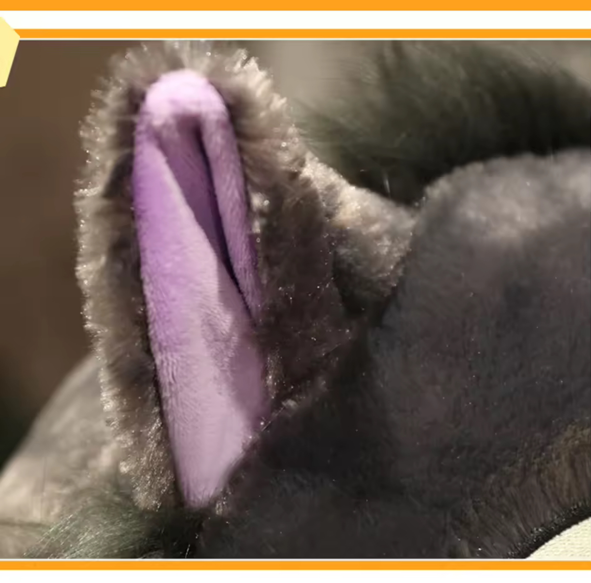 MASKOTKA KOT LUCYFER KOPCIUSZEK 35 CM - obrazek 2